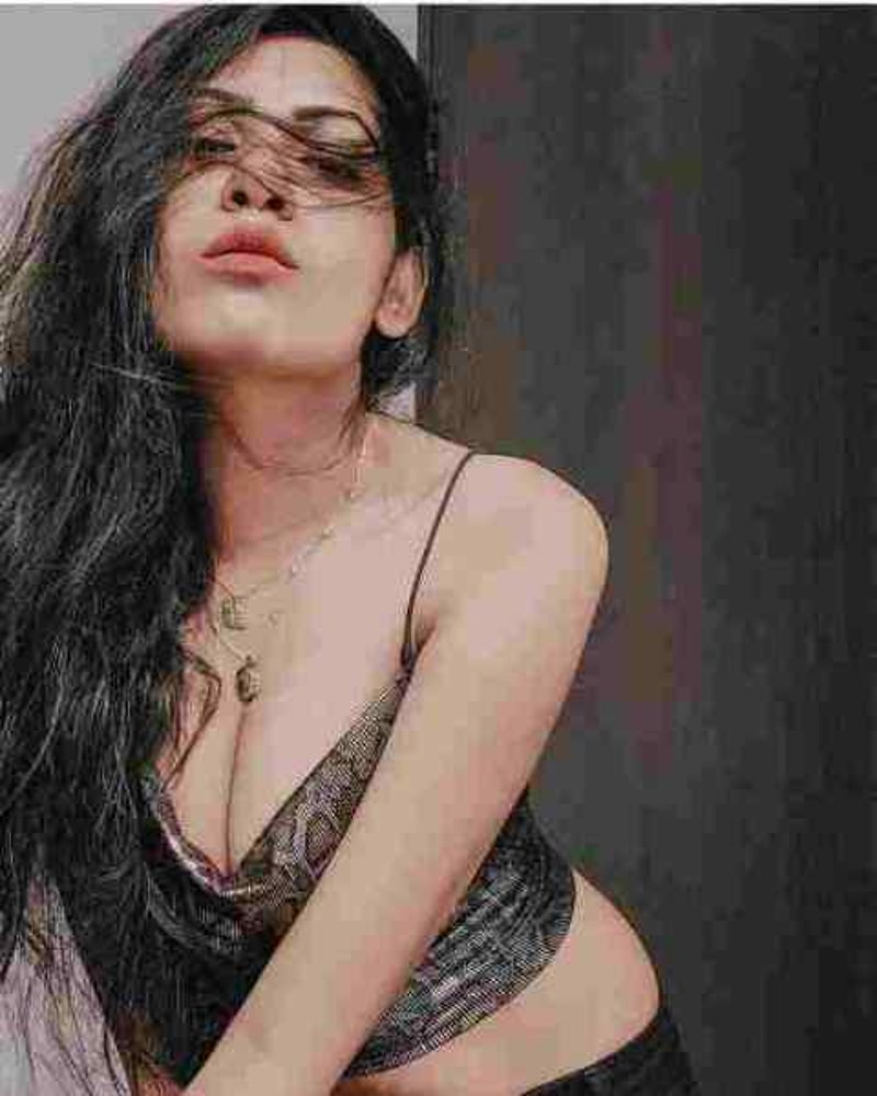 Karol Punjabi Houewife Call Girl